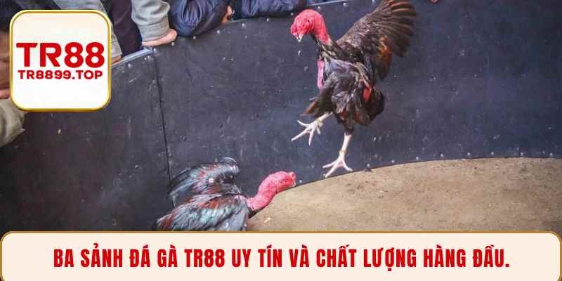 Ba sảnh đá gà TR88 uy tín và chất lượng hàng đầu.