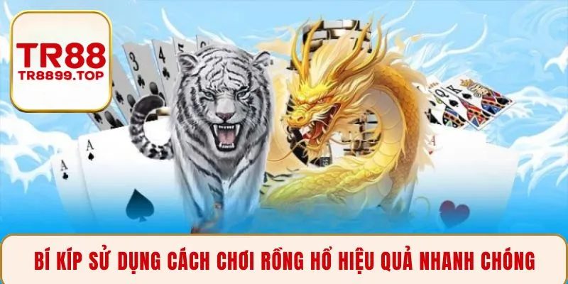 Bí kíp sử dụng cách chơi rồng hổ hiệu quả nhanh chóng