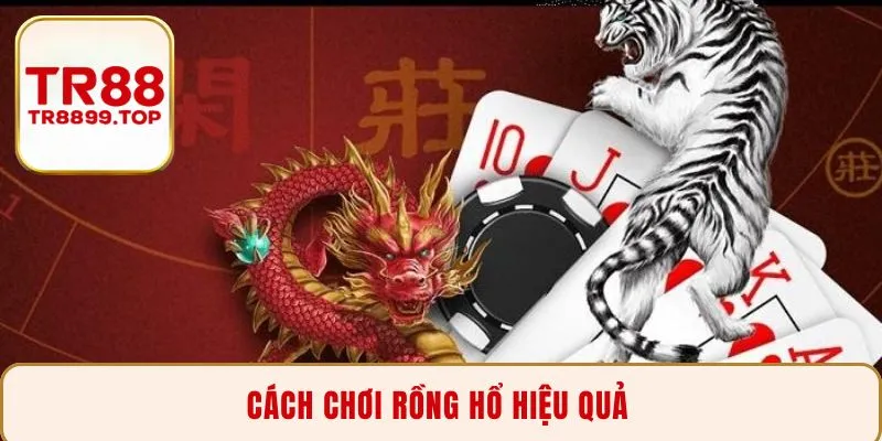 Cách Chơi Rồng Hổ Hiệu Quả