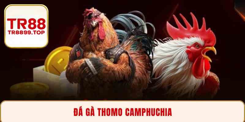 Đá gà thomo camphuchia