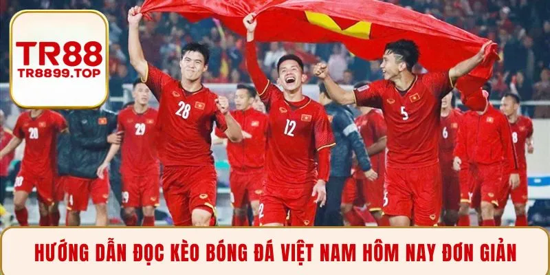 Hướng dẫn đọc kèo bóng đá Việt Nam hôm nay đơn giản