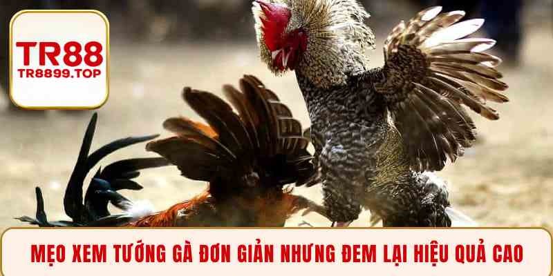 Mẹo xem tướng gà đơn giản nhưng đem lại hiệu quả cao