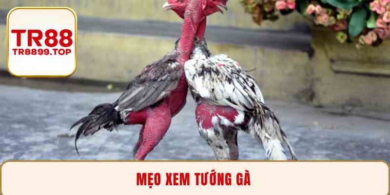 Mẹo xem tướng gà