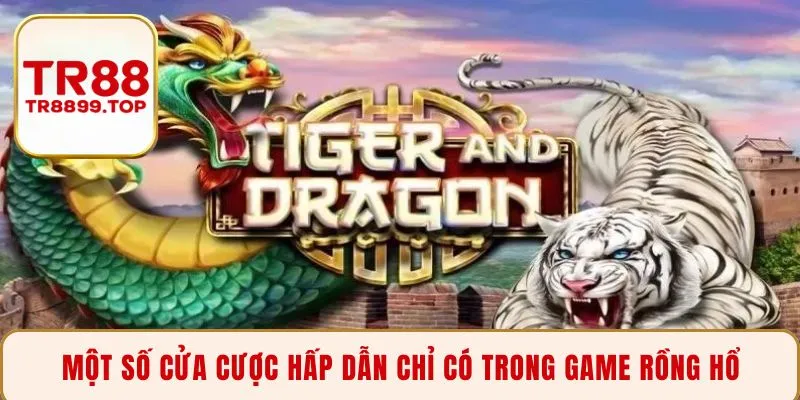 Một số cửa cược hấp dẫn chỉ có trong game Rồng Hổ