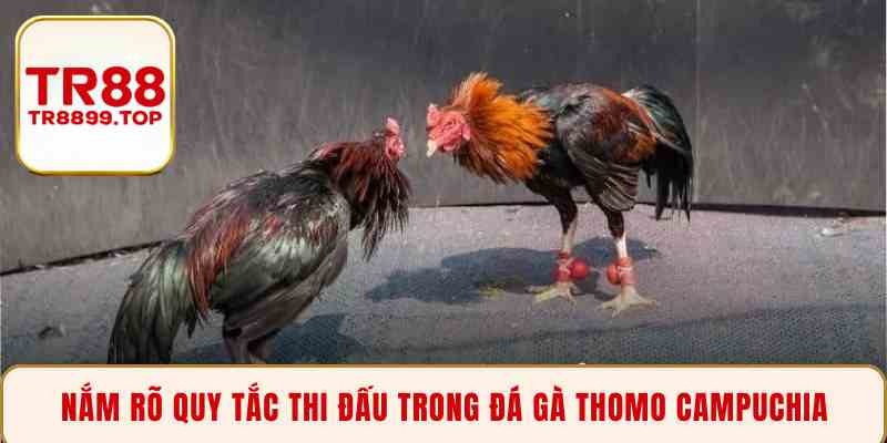 Nắm rõ quy tắc thi đấu trong đá gà Thomo Campuchia