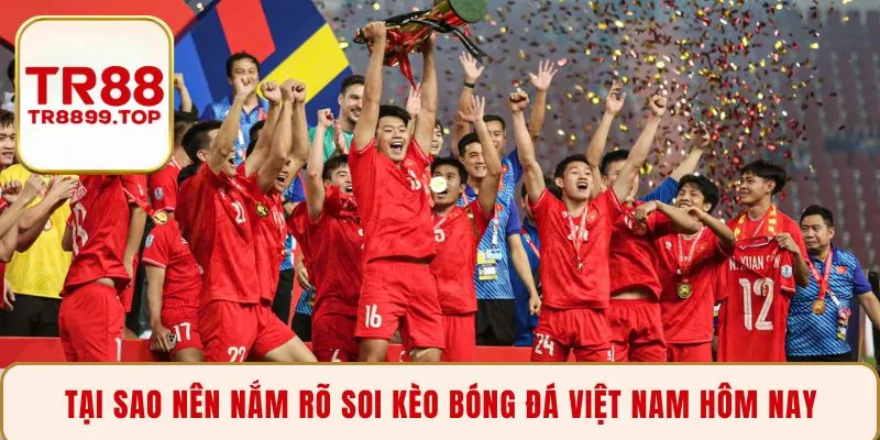 Tại sao nên nắm rõ soi kèo bóng đá Việt Nam hôm nay