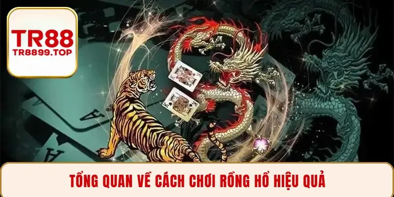 Tổng quan về cách chơi Rồng Hổ hiệu quả